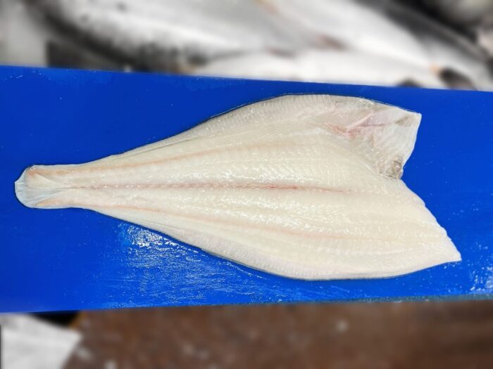 Fresh halibut fillet on a blue chopping board