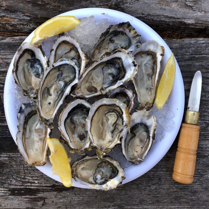 Freshly shucked and prepared Oysters served in a bowl of ice with lemon wedges. The bowl is set on a wood table with a used shucking knife to the right of it.