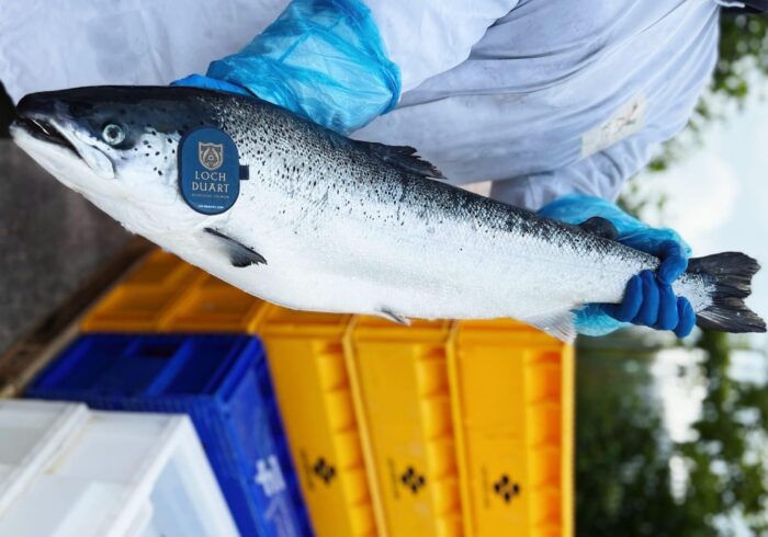 A fishmonger in a white coat and blue protective gloves holding a whole, fresh Scottish Salmon with a blue tag that reads "Loch Duart Scottish Salmon" with yellow, blue and white distribution boxes in the background.