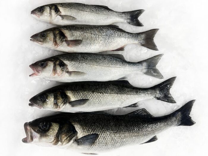 Five whole seabass on a bed of ice, each fish decreases in size from front to back