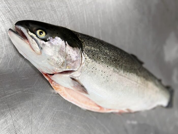 Whole filleted trout on a metal work surface.